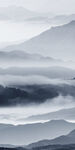 高端 新款简约玄关 TIf分层