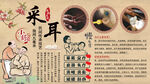 采耳背景墙