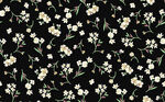 黑底小碎花