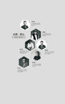 设计师团队