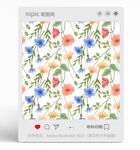 花朵花卉花纹