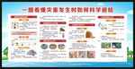 一图看懂灾害发生时如何科学避险
