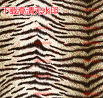 大牌印花  虎纹     数码
