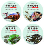 大闸蟹水产广告