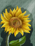 手绘复古油画黄色向日葵叶子花朵
