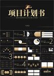 黑金项目商业计划书ppt