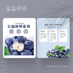 蓝莓水果卡片说明卡