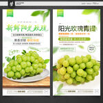 阳光玫瑰葡萄