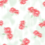 玫瑰花 晕染 淡绿色 