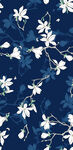 玉兰花 小碎花