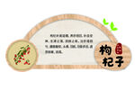 枸杞