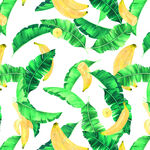 香蕉叶子