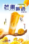 杨枝甘露 芒果