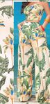 热带树叶 