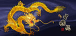 金龙飞龙金龙