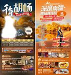 胡杨林