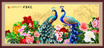 国画孔雀