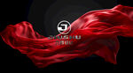 烫银logo效果图图片