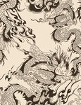 龙