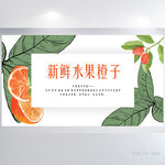 绿色新鲜水果橙子展板海报设计