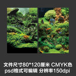 水草观赏鱼空气缸海报壁纸