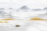 江山多娇