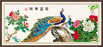 孔雀牡丹图