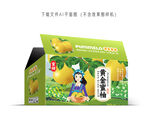 黄金蜜柚设计