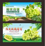 阳光玫瑰