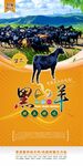 黑山羊