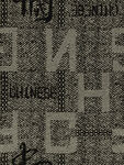 字母