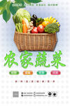 新鲜蔬菜挂画
