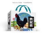 贵妃鸡礼盒 