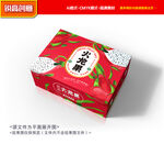 火龙果包装 水果礼盒