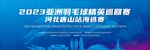 羽毛球比赛深蓝色背景