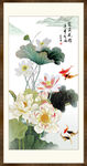 荷花鲤鱼图