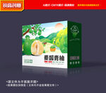 柚子包装 青柚礼盒