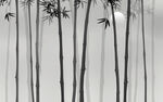 竹林背景