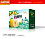 柚子包装 蜜柚礼盒