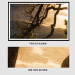枯树油画