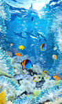 海洋生物珊瑚3D立体地画