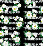 山茶花