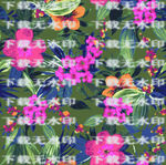热带花卉