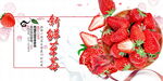 草莓
