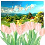 郁金香风景