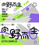 露营活动画面