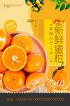 蜜柑