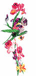 手绘花