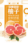柚子