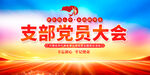 支部党员大会